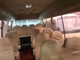 Original TOYOTA Diesel engine school bus Used Toyota Coaster Buses leather seats 23-30Seats  Optional Color